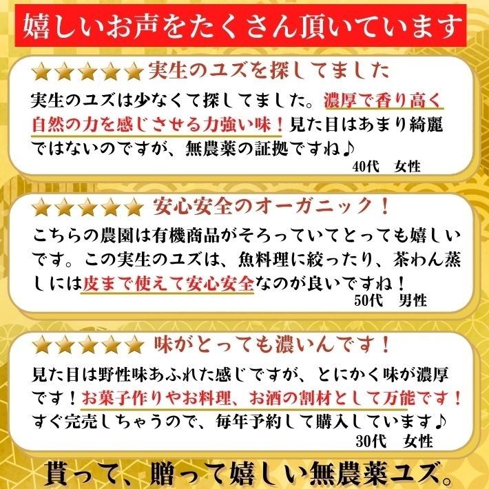 農薬を使用しない 実生のユズ 無農薬 有機栽培