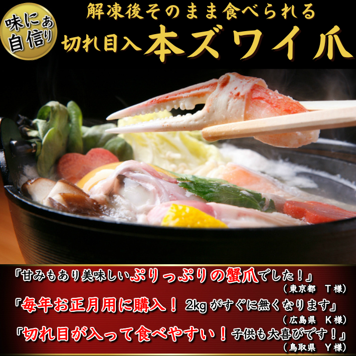 本ズワイガニ かに爪 1kg(約31-35個入) 切れ目入