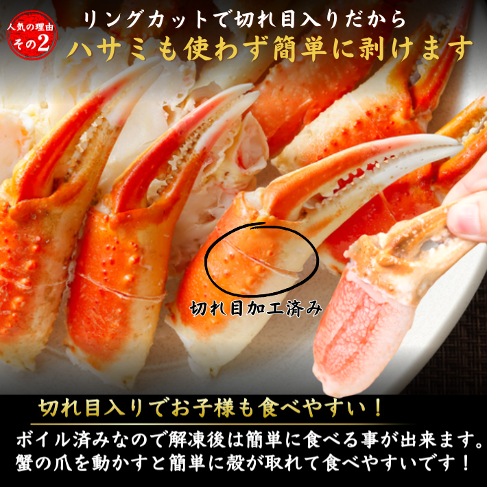 本ズワイガニ かに爪 1kg(約31-35個入) 切れ目入