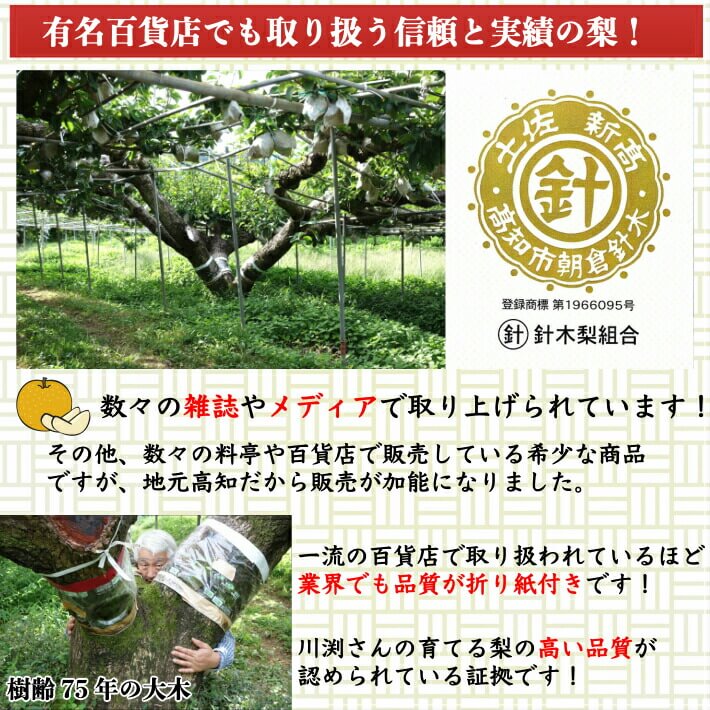 実績と信頼の梨