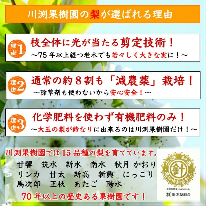 川渕果樹園が選ばれる理由