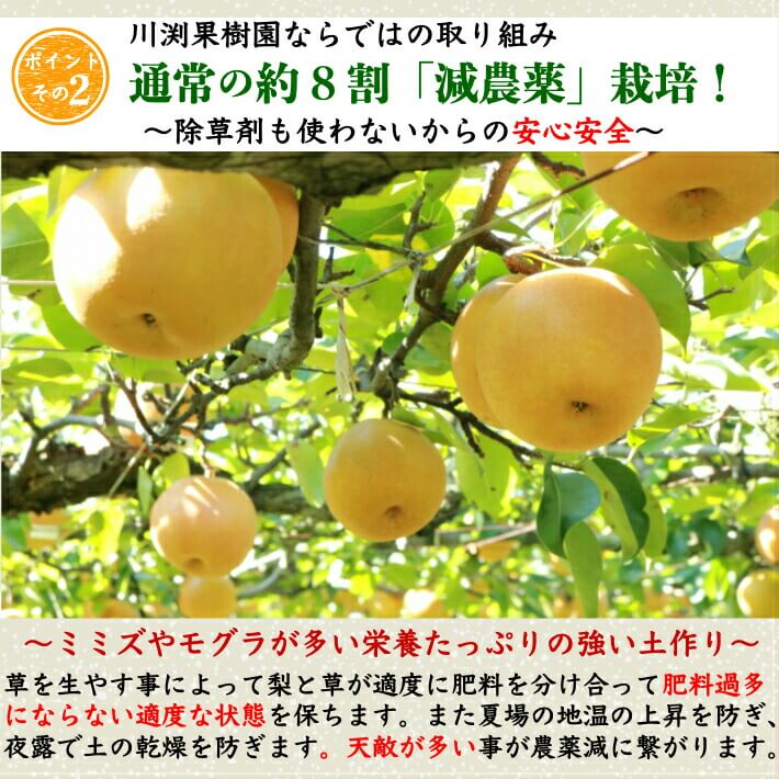 減農薬栽培