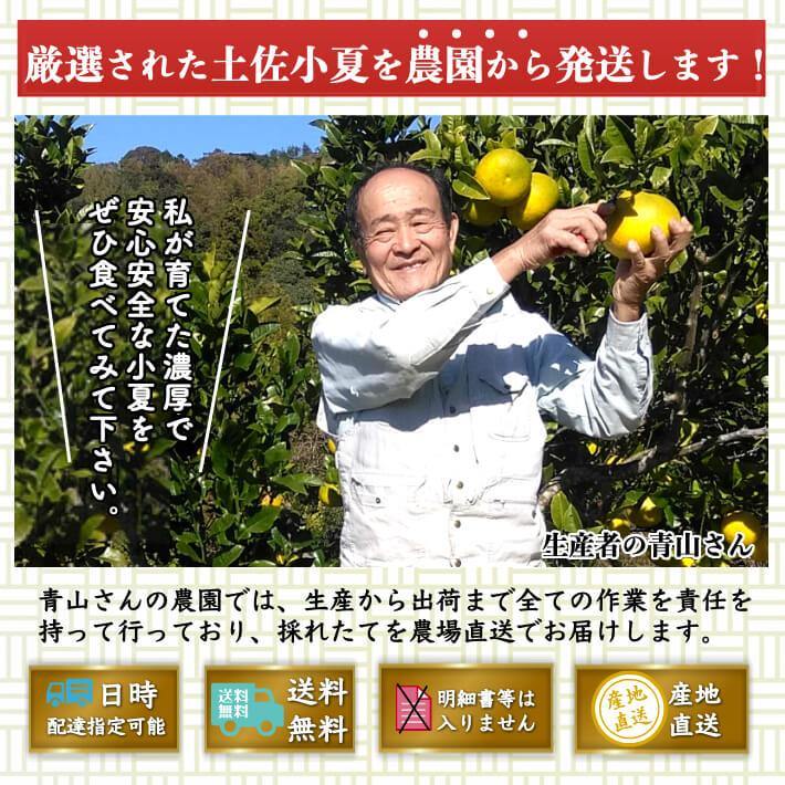 無農薬 土佐小夏 有機肥料 家庭用 3kg 高知県産  送料無料 - 池澤鮮魚オンラインショップ