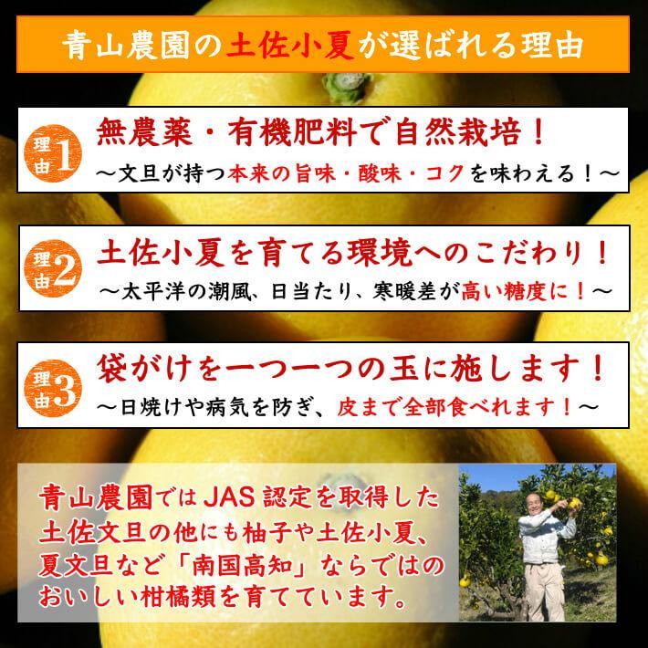 無農薬 土佐小夏 有機肥料 家庭用 5kg 高知県産  送料無料 - 池澤鮮魚オンラインショップ