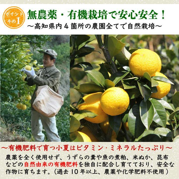 無農薬 土佐小夏 有機肥料 家庭用 5kg 高知県産