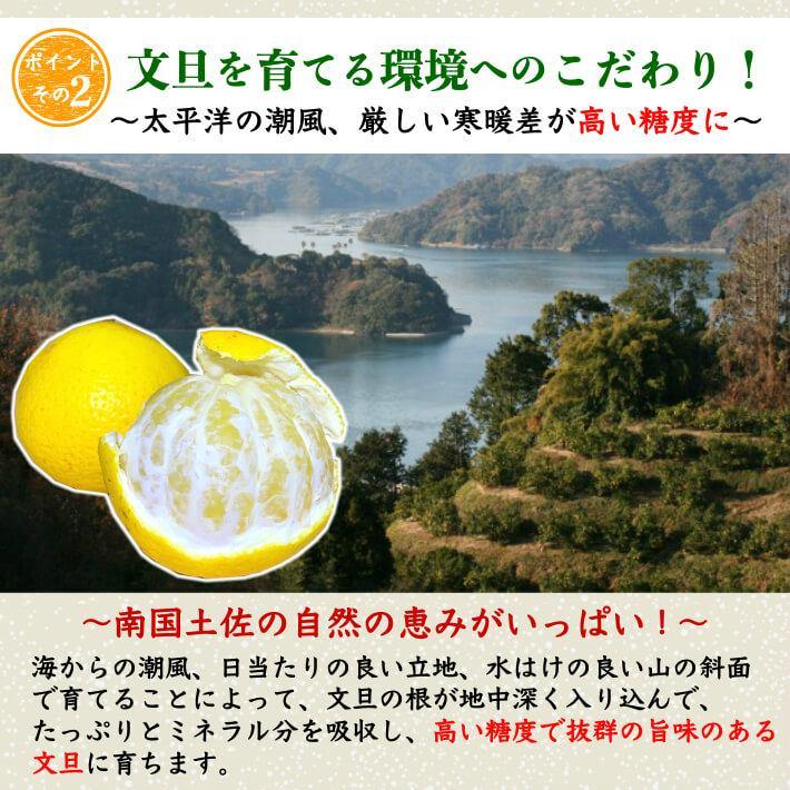 無農薬 土佐小夏 有機肥料 家庭用 5kg 高知県産