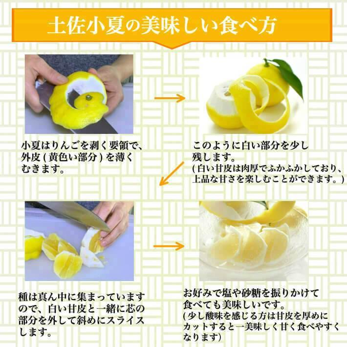 無農薬 土佐小夏 有機肥料 家庭用 5kg 高知県産  送料無料 - 池澤鮮魚オンラインショップ