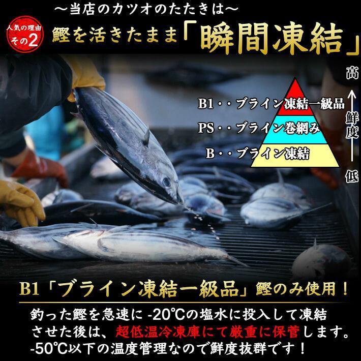 一本釣り 鰹のたたき（とろカツオ）背腹セット 5人前 送料無料 - 池澤鮮魚オンラインショップ