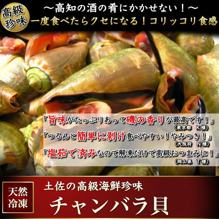 チャンバラ貝（マガキ貝）500g｜塩茹で済み 高知名物の酒の肴 - 池澤
