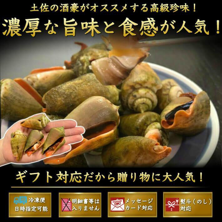チャンバラ貝（マガキ貝）500g｜塩茹で済み 高知名物の酒の肴 - 池澤