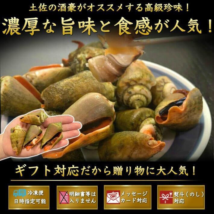 チャンバラ貝 （マガキ貝）500g - 池澤鮮魚オンラインショップ