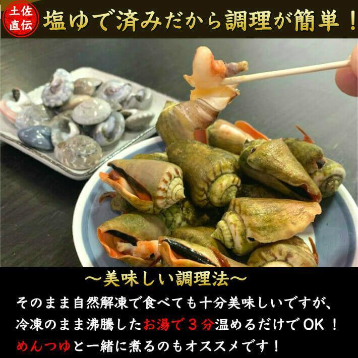 チャンバラ貝（マガキ貝）500g｜塩茹で済み 高知名物の酒の肴 - 池澤