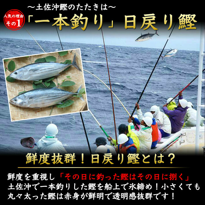 ＼初鰹／ 鰹のたたきと刺身食べ比べセット  各1節 送料無料 - 池澤鮮魚オンラインショップ