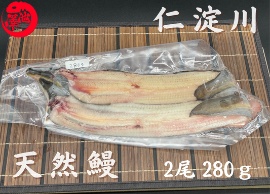 天然うなぎ 仁淀川【2尾 280ｇ】生冷凍  国産 高知県産