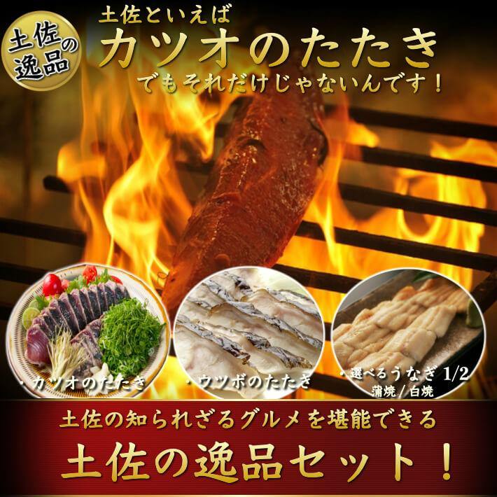 ＼初鰹／ 土佐沖 日戻り鰹のたたき・ウツボのたたき・国産うなぎ（ハーフカット）セット 送料無料 - 池澤鮮魚オンラインショップ