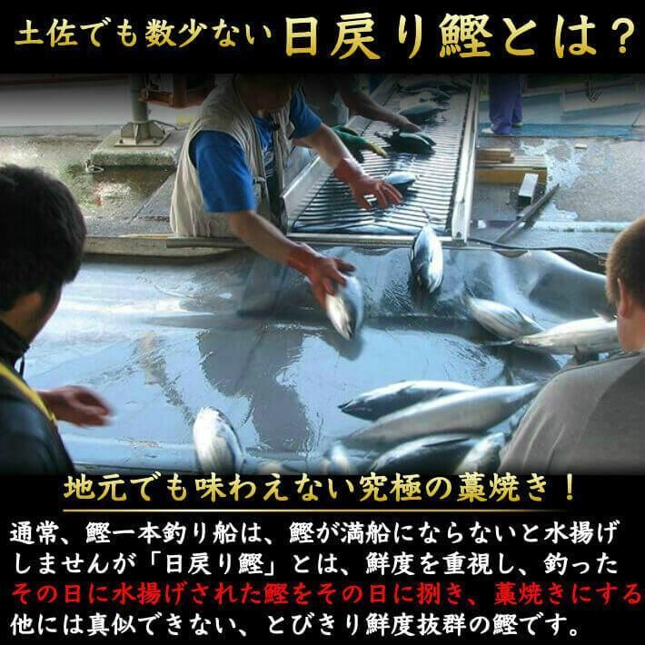 ＼初鰹／ 土佐沖 日戻り鰹のたたき・ウツボのたたき・国産うなぎ（ハーフカット）セット 送料無料 - 池澤鮮魚オンラインショップ