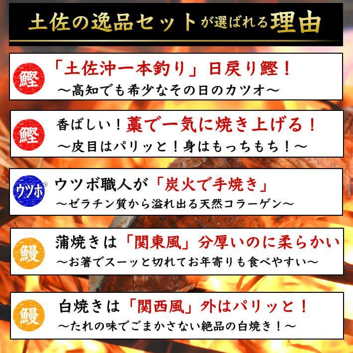 ＼初鰹／ 土佐沖 日戻り鰹のたたき・ウツボのたたき・国産うなぎ（ハーフカット）セット 送料無料 - 池澤鮮魚オンラインショップ