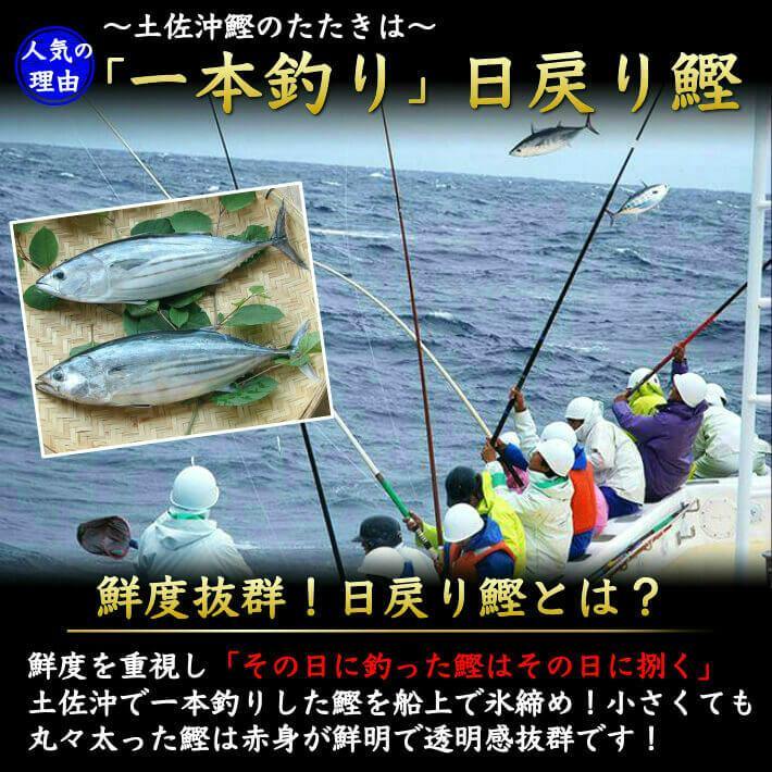 ＼初鰹／ 土佐沖 日戻り鰹のたたき・ウツボのたたき・国産うなぎセット 送料無料 - 池澤鮮魚オンラインショップ