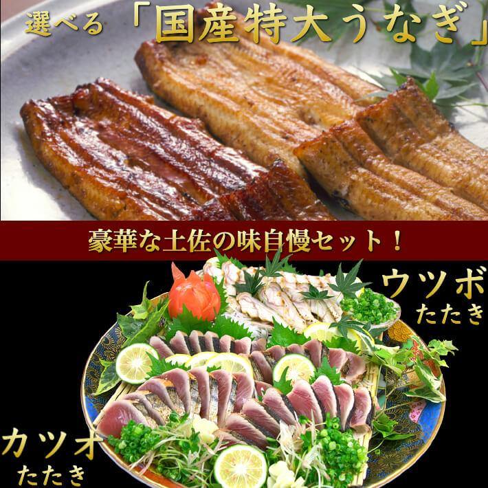 わら焼き鰹のたたき・ウツボのたたき・国産うなぎ（ハーフ）セット