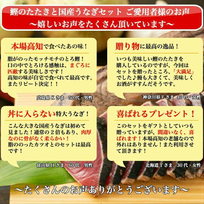 ＼初鰹／ 土佐沖 日戻り鰹のたたき・ウツボのたたき・国産うなぎセット 送料無料 - 池澤鮮魚オンラインショップ