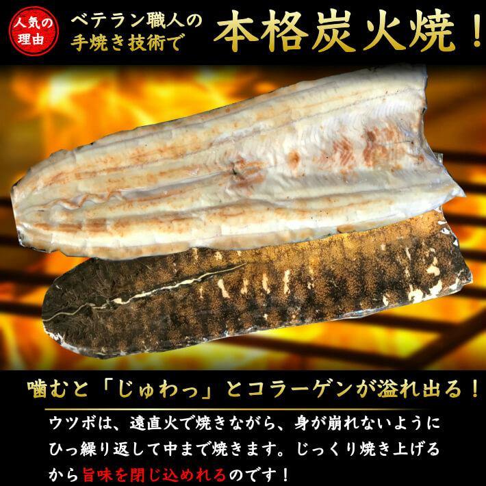 ＼初鰹／ 土佐沖 日戻り鰹のたたき・ウツボのたたき・国産うなぎ（ハーフカット）セット 送料無料 - 池澤鮮魚オンラインショップ