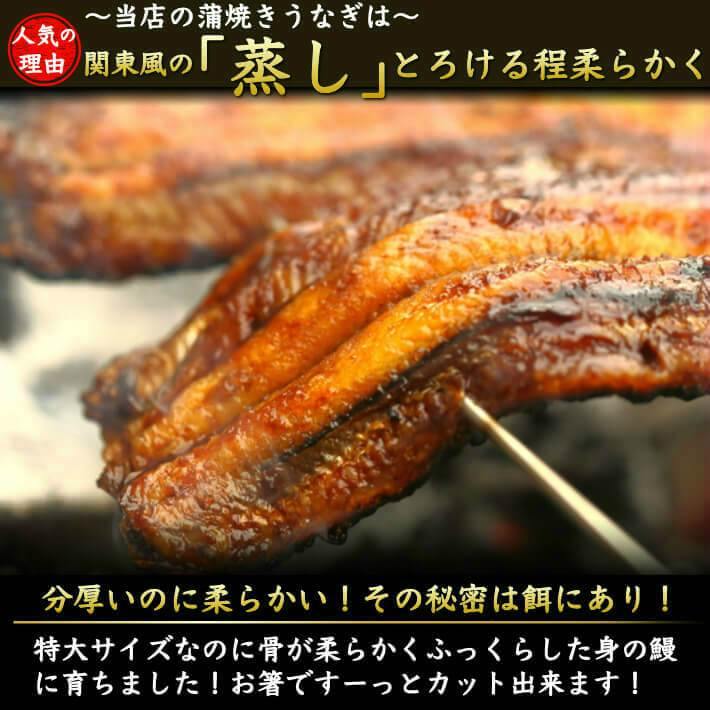 わら焼き鰹のたたき・ウツボのたたき・国産うなぎ（ハーフ）セット