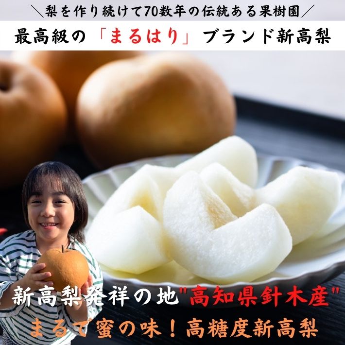最高峰のまるはりブランド