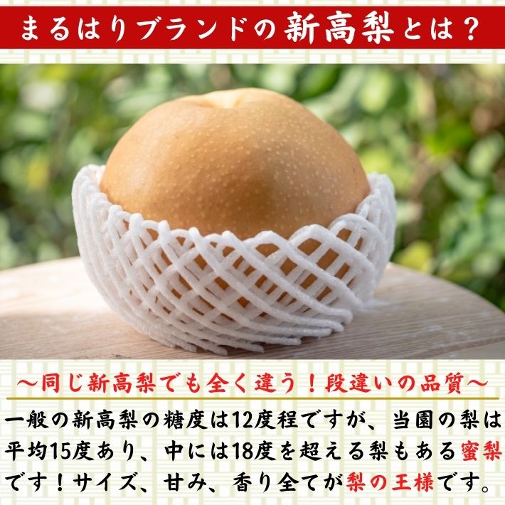 新高梨発祥の地