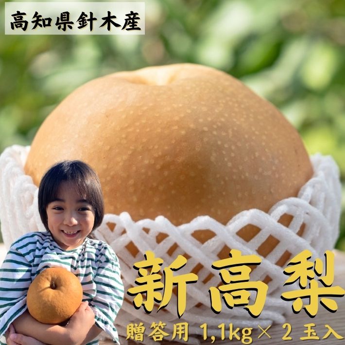 梨の王様新高梨