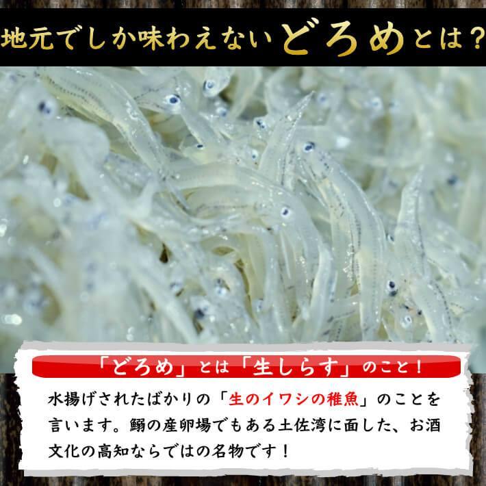 土佐のどろめ お刺身生しらす 100g×5パック 送料無料 - 池澤鮮魚オンラインショップ