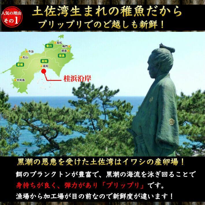 のれそれ 穴子の稚魚 100g×3パック – 池澤鮮魚オンラインショップ
