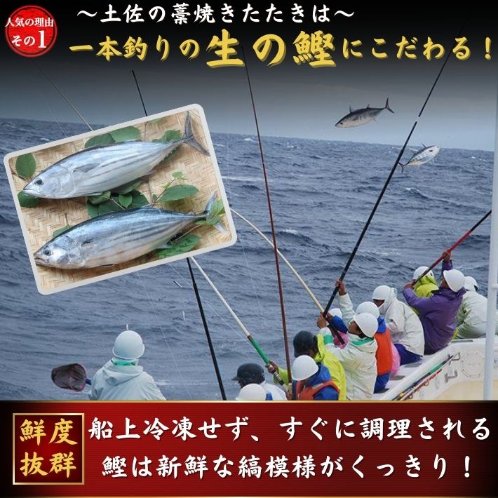 生鰹