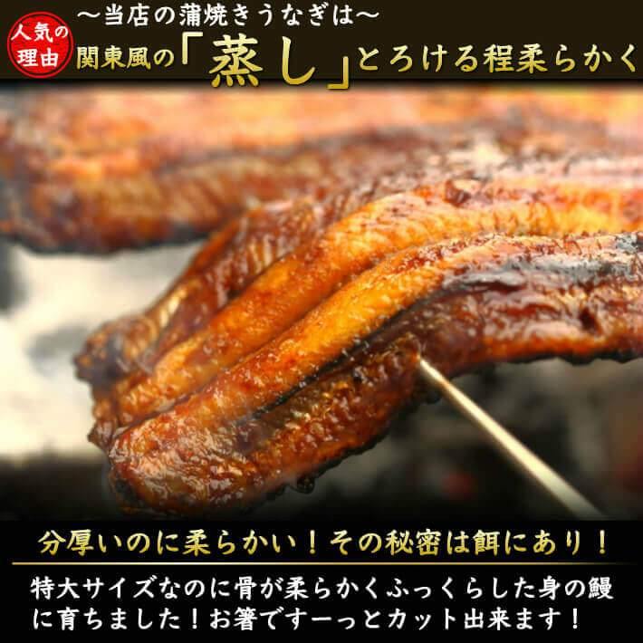 わら焼き鰹のたたき 国産うなぎセット 各1本 – 池澤鮮魚オンラインショップ