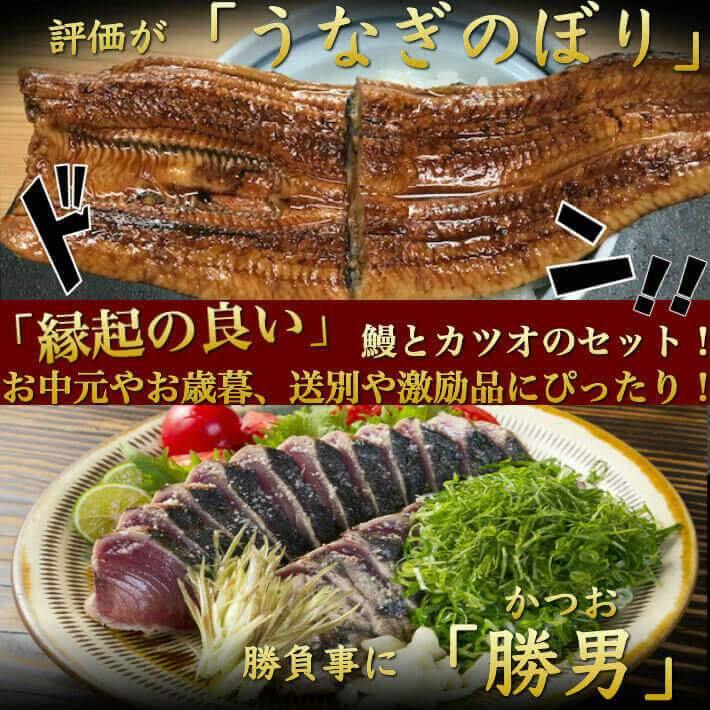 わら焼き鰹のたたき 国産うなぎセット 各1本 – 池澤鮮魚オンラインショップ