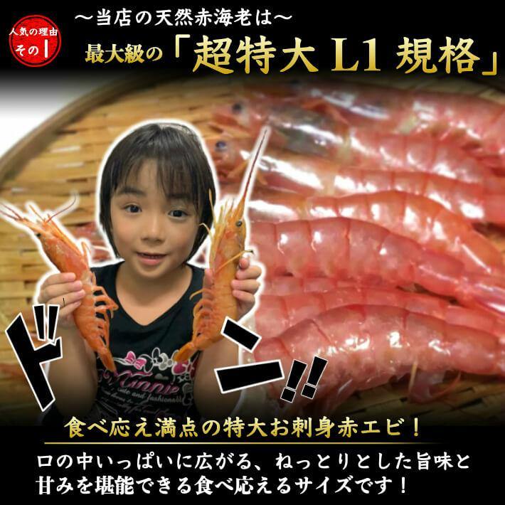 天然お刺身 赤海老 超特大1kg (15-18尾) - 池澤鮮魚オンラインショップ