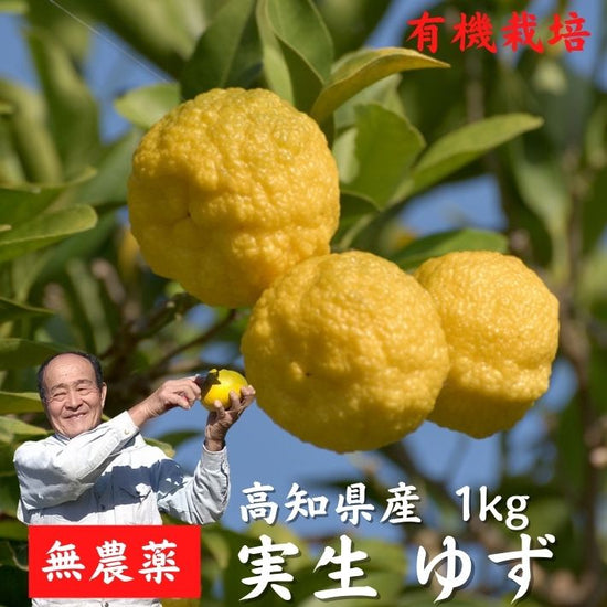 高知県産　有機JAS　柚子